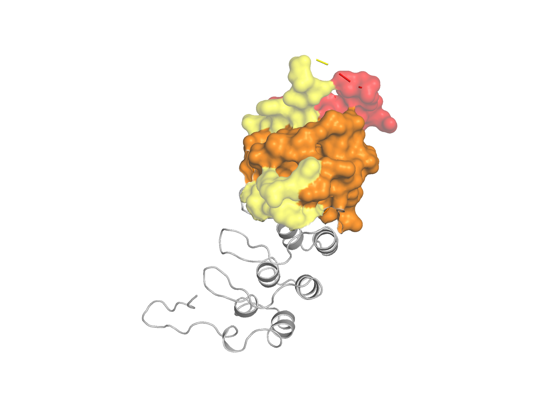 Prepared IκBα target structure with the intended 110–170 binding region highlighted in orange